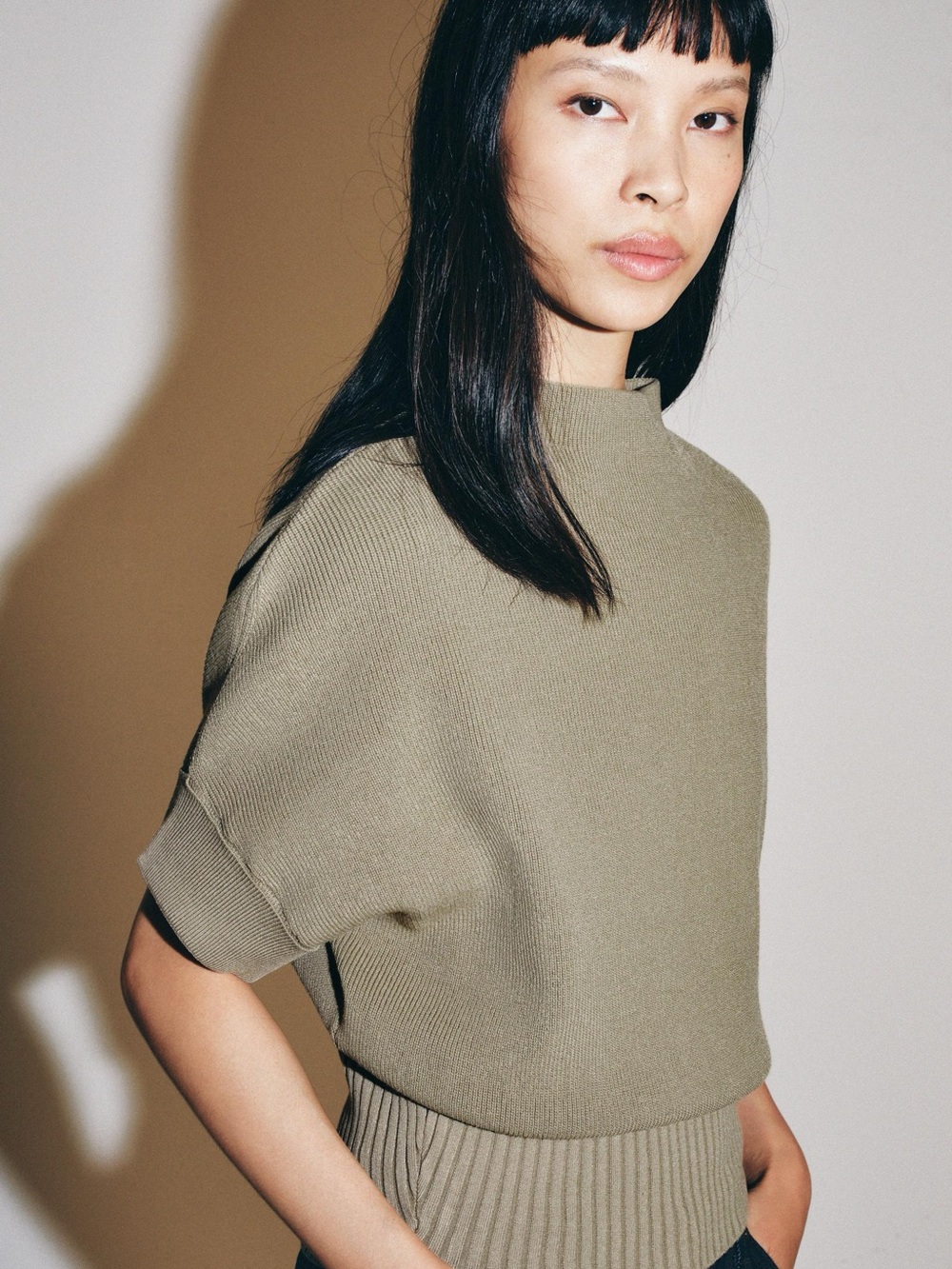 Zara Stone Short-Sleeve Turtleneck Knit Top
